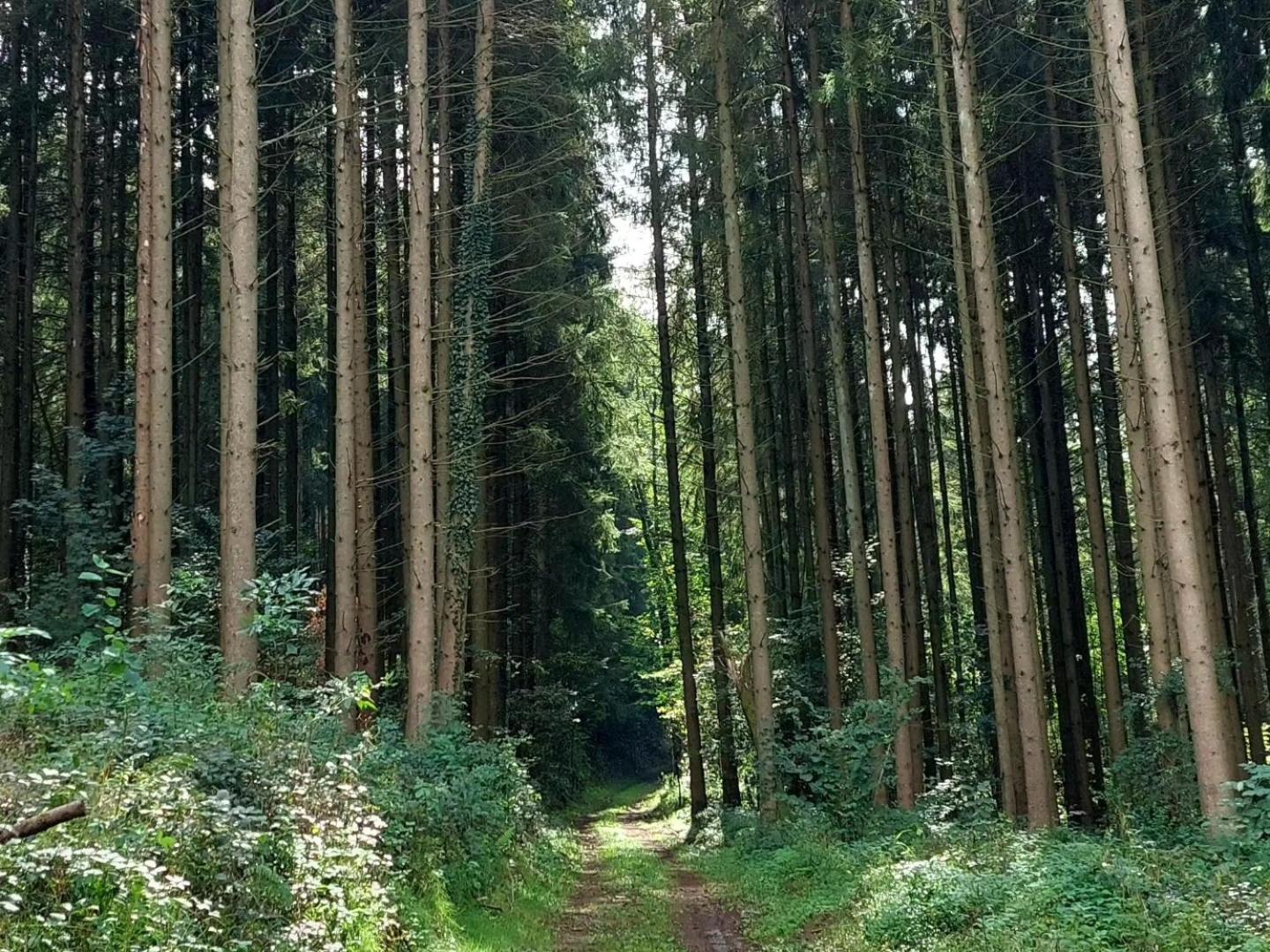 My * Illingen (Saarland)